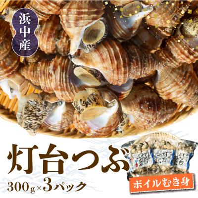 ふるさと納税 浜中町 北海道浜中産　灯台つぶ(ボイルむき身)　300g×3パック