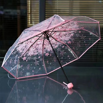 新品🚀🚀✨高顏值透明傘 網紅雨傘 學生三折傘 長柄傘 個性文藝雨傘