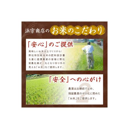 ふるさと納税 無洗米・定期便（6回）2023年産 京都・丹後コシヒカリ 無洗米 3kg作り手が見えるコシヒカリを無洗米に！  京都府京丹後市