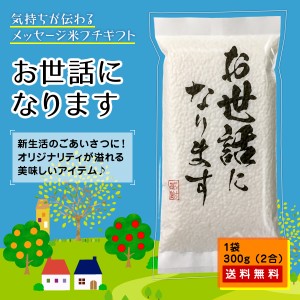 ポイント消化 お米 プチギフト 「お世話になります」広島県産 コシヒカリ 300g（2合）ギフト  ごあいさつ 米  お試し 送料無料   ※ゆう