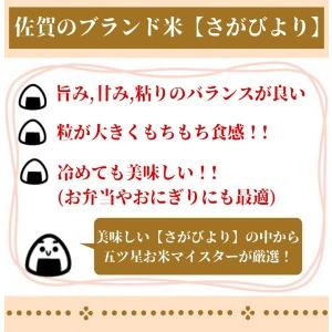 ふるさと納税 CI307_有機肥料を使って栽培した≪特選さがびより≫みやき町産（５kg×２袋） 佐賀県みやき町