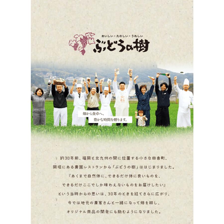 ぶどうの樹　自家製バラエティピザ4枚セット   福岡県 ギフト お歳暮 冬ギフト お取り寄せ （北海道・沖縄別途送料）