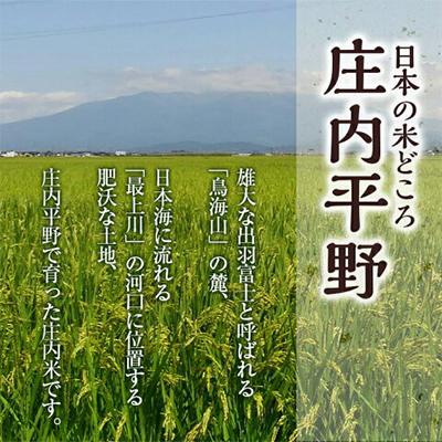 ふるさと納税 酒田市 庄内産特別栽培米 つや姫無洗米 毎月5キロ(3ケ月) 全3回