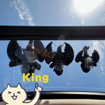 【臺灣出貨】小飛龍無牙仔車頂玩偶 可動翅膀趣味擺飾 車頂天窗車尾後視鏡適裝 3M無痕膠貼合安裝撕下不留殘膠汽車外裝飾專用