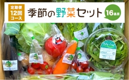  季節の野菜セット 16品目