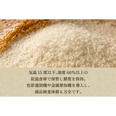 ふるさと納税 新潟県加茂市産コシヒカリ 精米10kg（5kg×2）白米 加茂有機米生産組合 定期便 定期購入 定期 コシ.. 新潟県加茂市