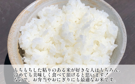 新米　ミルキークイーン　白米　5kg　令和5年産