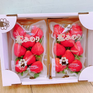 【帕查嬤嬤】🇯🇵日本 熊本 境內版 戀之實 恋みのり 草莓🍓｜日本草莓禮盒