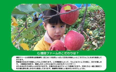 米 はぜかけ こしひかり 5kg × 6回 令和5年産 増田ファーム 沖縄県への配送不可 2023年11月上旬頃から順次発送予定 コシヒカリ 白米 精米 お米 信州 予約 農家直送 長野県 飯綱町 [0816]