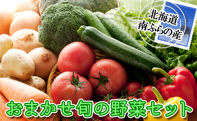 北海道南ふらの町より直送！おまかせ旬の 野菜 セット 北海道 南富良野町 詰合せ 2024年発送 先行予約