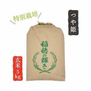 令和4年産 山形県産 米 つや姫 5kg 玄米 お米 産直 産地直送 お土産 観光地応援 ギフト プレゼント コクブン直送