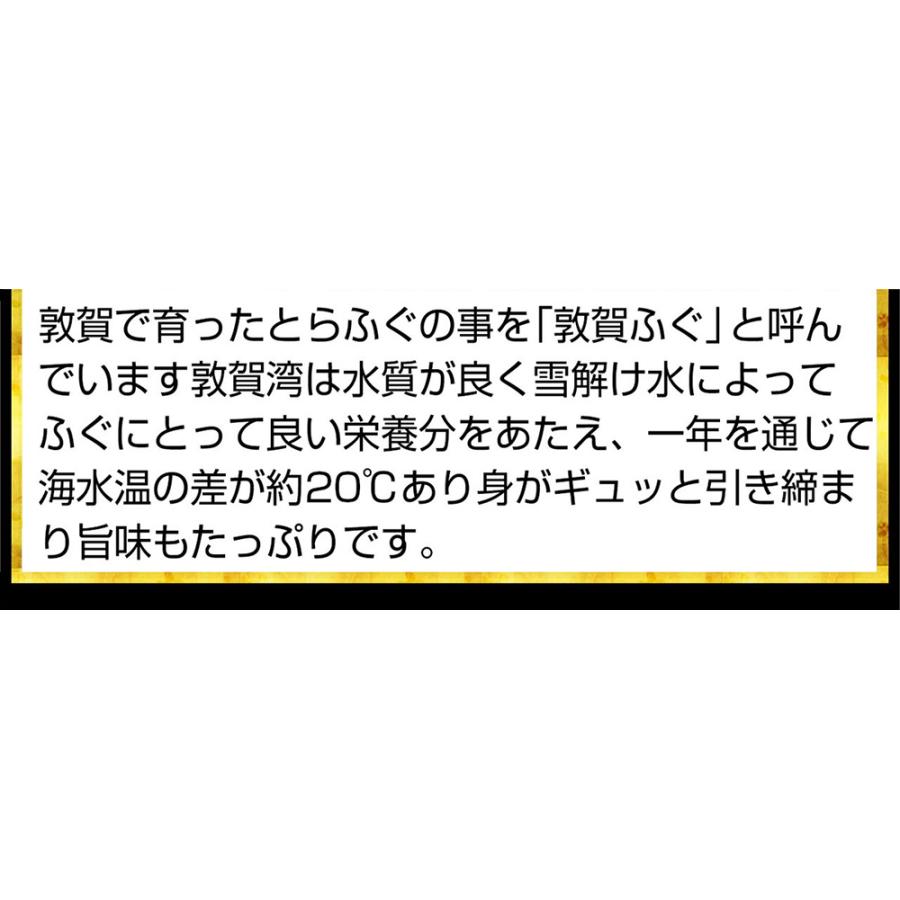 期間限定セール4180円 ふぐ フグ 河豚 とらふぐ刺し フグ刺し てっさ 敦賀産 下関加工 トラフグ菊盛り刺身 ふぐ刺し4人前 皮刺 ポン酢 薬味付 お刺し身 ギフト