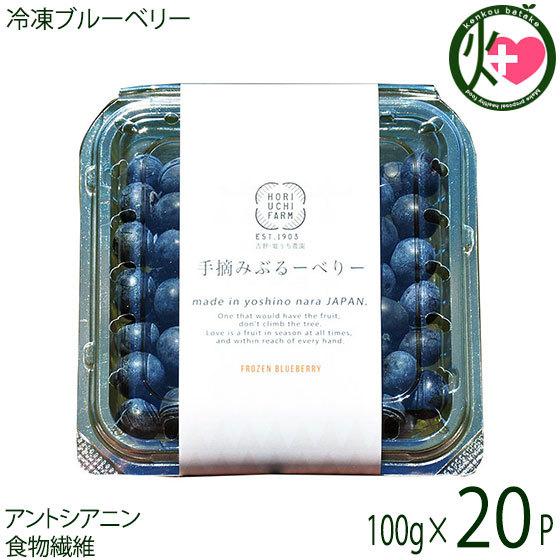 冷凍ブルーベリー100g×20P 堀うち農園 無農薬栽培 安心 安全