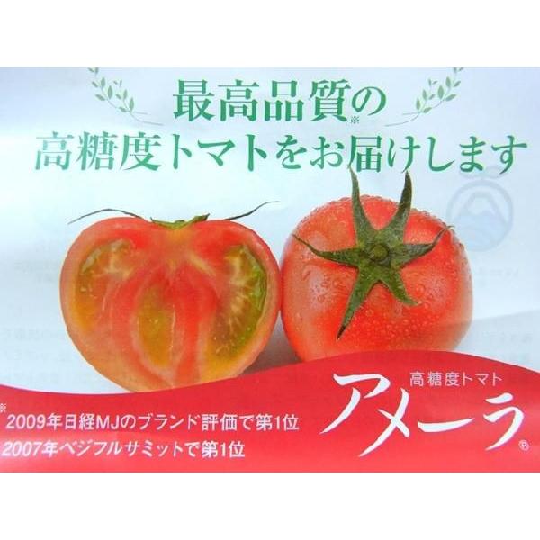 静岡県 ”高糖度フルーツトマト アメーラ” 2S以下 小玉限定 約1kg 化粧箱入り