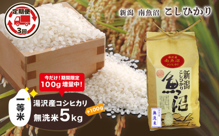 令和5年産 湯沢産コシヒカリ＜無洗米＞5kg 精米したてのお米をお届け