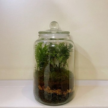 玻璃瓶 玻璃罐 植栽玻璃罐 萬用罐 3個尺寸 糖果罐 儲物罐 中藥罐 醃漬罐 茶葉罐 金益合玻璃器皿