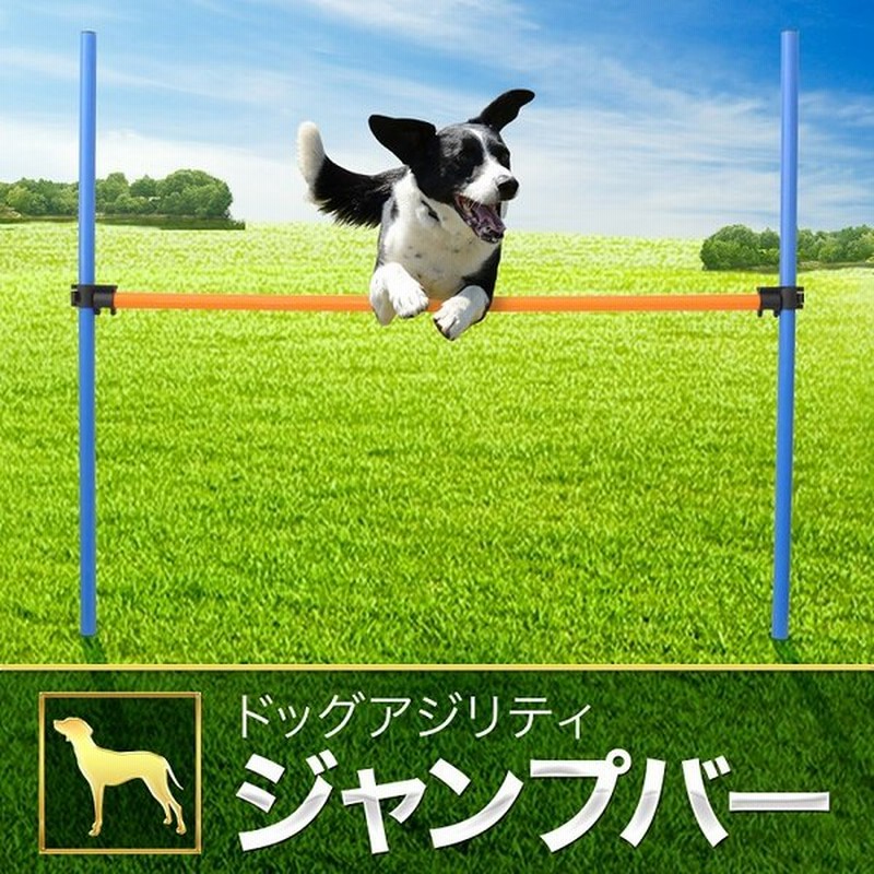 ドッグアジリティ トレーニング アジリティー ペットアジリティ 犬 ジャンプバー ハードル 犬用 ドッグ 障害物 柵 競技 競争 練習 ジャンプ 通販 Lineポイント最大0 5 Get Lineショッピング