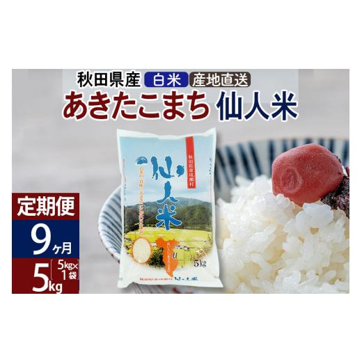 ふるさと納税 秋田県 東成瀬村 新米 令和5年産 あきたこまち 秋田県産「仙人米」白米 5kg（5kg×1袋）