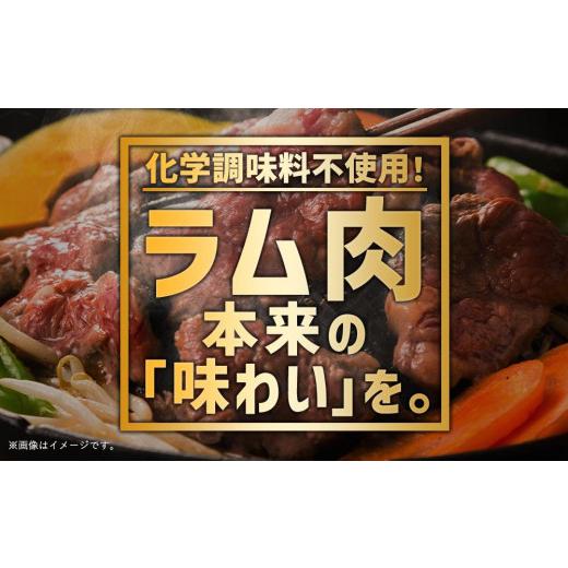 ふるさと納税 北海道 旭川市 北の大手門「やわらかジンギスカン」200ｇ×10パック