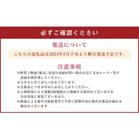 ふるさと納税 北海道産グリーンアスパラ1kg（2024年5月下旬から順次発送開始予定） 北海道旭川市