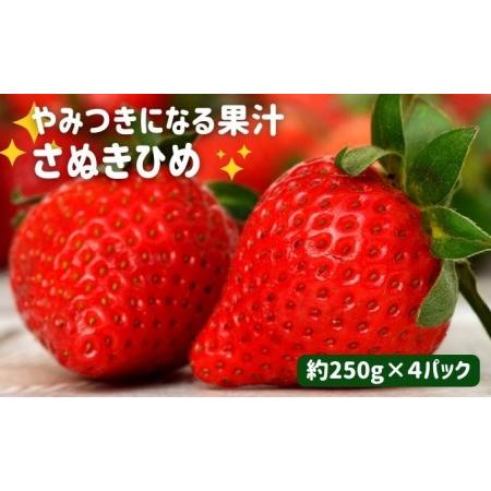 ふるさと納税 やみつきになる果汁 さぬきひめ苺 4パック 香川県丸亀市