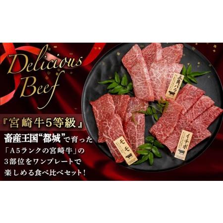 ふるさと納税 宮崎牛焼肉3種食べ比べセット_AC-0110_(都城市) 都城産宮崎牛 A5 三角バラ焼肉用 モモ焼肉用 イ.. 宮崎県都城市