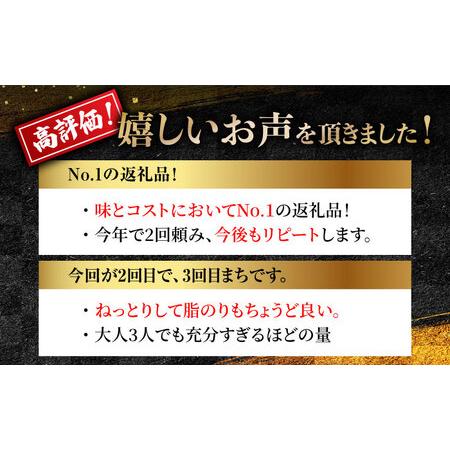 ふるさと納税 ＜累計19,000件突破＞長崎県産 本マグロ「中トロ」(約700g) まぐろ マグロ 中トロ 鮪 まぐろ マグロ さしみ 刺身 刺し身 マグロ .. 長崎県東彼杵町