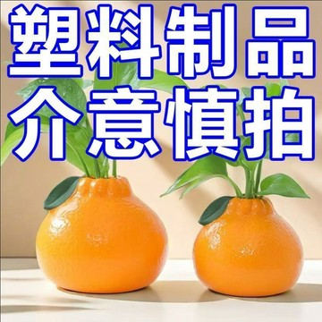 臺灣/✨花瓶 玻璃花瓶新創意橘子水養綠蘿水培花盆客廳桌面辦公桌裝飾擺件塑料花瓶插花