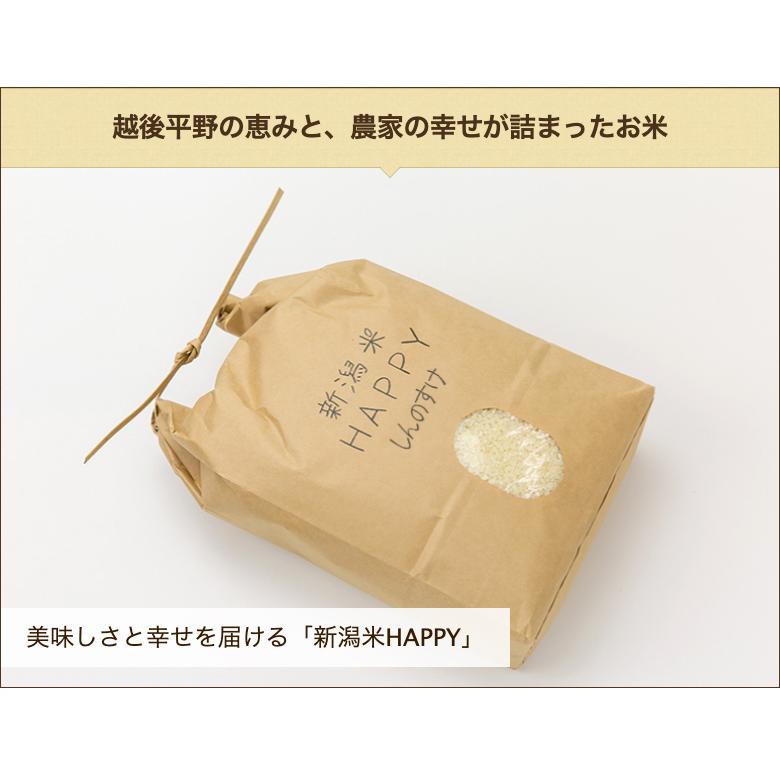 新潟県産 新潟米HAPPY新之助 玄米20kg  農園ささき 送料無料