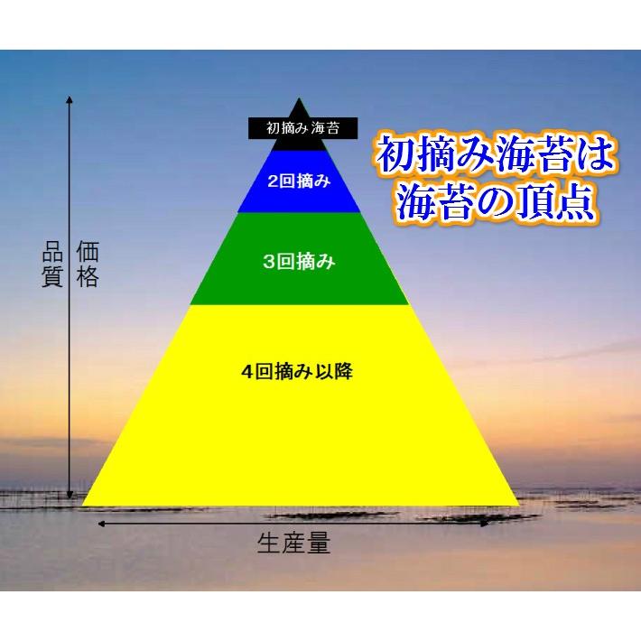  全形50枚 焼海苔  佐賀有明 初摘み海苔 一番海苔 有明海苔 海苔 初摘海苔 日本一海苔産地  高級海苔　ギフト対応