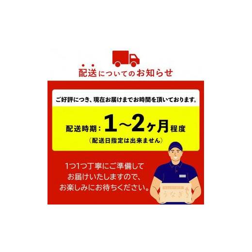 ふるさと納税 鹿児島県 大崎町 おおさきうなぎ（鹿児島県産うなぎきざみ）20袋セット