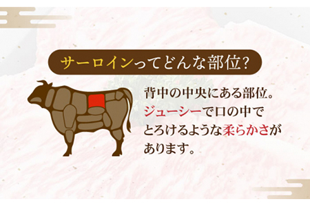 飛騨牛 A5ランク サーロインステーキ 400g×2枚 国産 和牛 牛肉 焼肉 お取り寄せ   [MBE020]