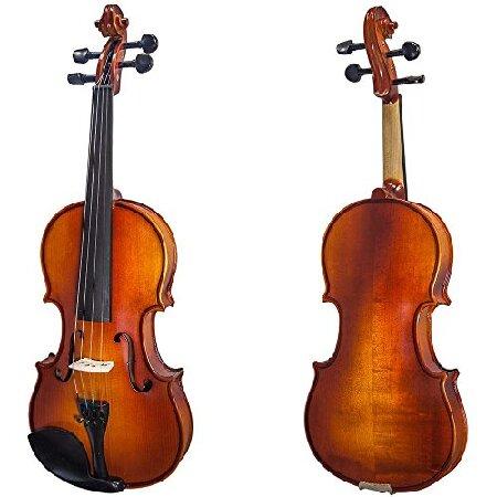 Paititi Full Size Solid Wood Ebony Fitted Violin with Bow Lightweight Case