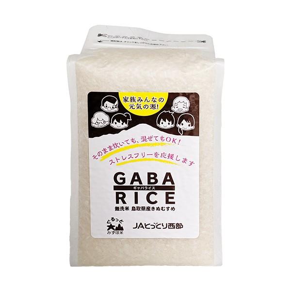 GABA RICE 無洗米 きぬむすめ 900g