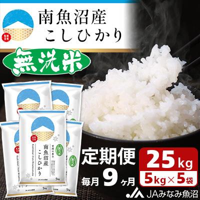 ふるさと納税 南魚沼市 ≪無洗米≫南魚沼産こしひかり 精米 25kg(5kg×5袋)  全9回