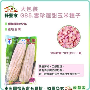 【綠藝家】大包裝G85.雪珍超甜玉米(純白色牛奶玉米)種子 70克(約330顆)(有藥劑處理)