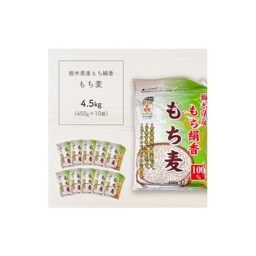 ふるさと納税 栃木県 真岡市 もち麦 栃木県産もち絹香　もち麦　4.5kg（450g×10袋）真岡市 栃木県