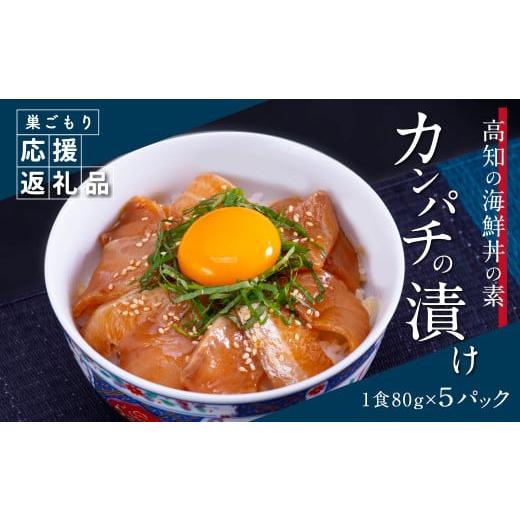 ふるさと納税 高知県 芸西村 「かんぱちの漬け丼の素」1食80g×5P＜高知市共通返礼品＞