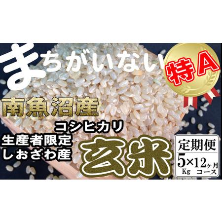 ふるさと納税 玄米 生産者限定 南魚沼しおざわ産コシヒカリ5Kg×12ヶ月 新潟県南魚沼市