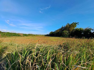 卓悅聯盟和悅團隊~新竹新豐後湖子特定農業區｜新竹縣新豐鄉福興段後湖子小段