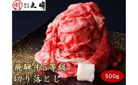 飛騨牛5等級　切り落とし用途いろいろ　500g