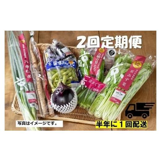 ふるさと納税 京都府 京都市 ＜２回　定期便＞半年に１回配送！季節の京野菜セット