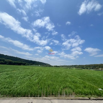 楊梅中山南路都內美農地｜桃園市楊梅區甡甡段