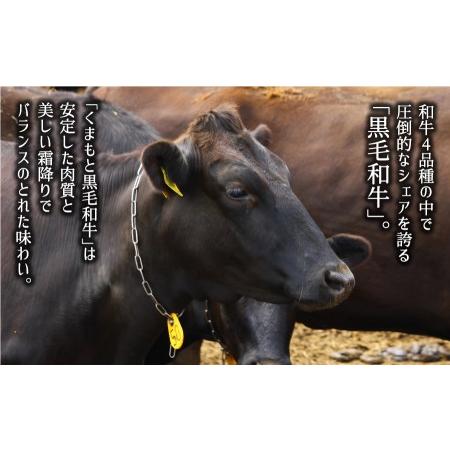 ふるさと納税 黒毛和牛・モモ焼肉用500g 熊本県産山村