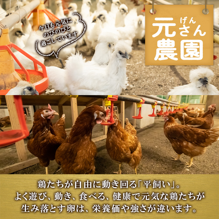 平飼い鶏のたまごセット (合計20個・烏骨鶏たまご10個・赤鶏たまご10個) 元さん農園 卵 玉子 卵かけご飯 玉子焼き 平飼い 鶏 鶏卵 養鶏場直送 朝採れ 新鮮 大分県 佐伯市 