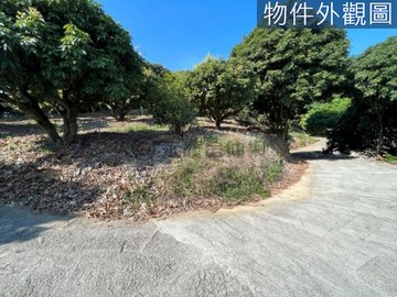 義大世界旁3.3分有水有電有景觀有荔枝的農地｜高雄市大樹區興和段