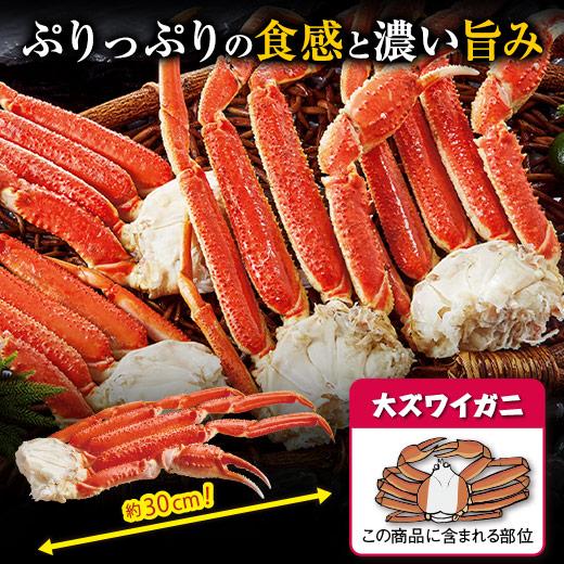 かに カニ 蟹 ズワイ ずわい 希少 大ズワイガニ 脚 たっぷり 1.6kg バルダイ種 お歳暮 2023 2024 プレゼント ギフト 送料無料 