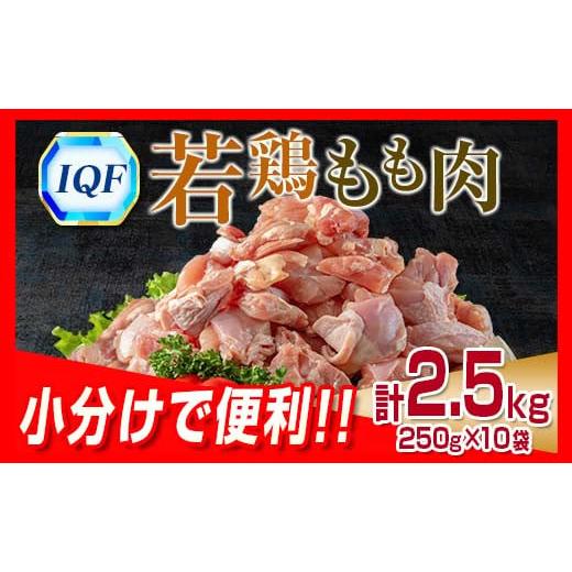 ふるさと納税 宮崎県 日南市 小分けで便利 カット済 若鶏 もも肉 計2.5kg 250g×10袋 肉 鶏 鶏肉 国産 おかず 食品 お肉 チキン 送料無料_B219-23