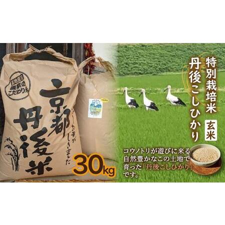 ふるさと納税 特別栽培米　令和6年産　丹後こしひかり　玄米30Kg 京都府京丹後市