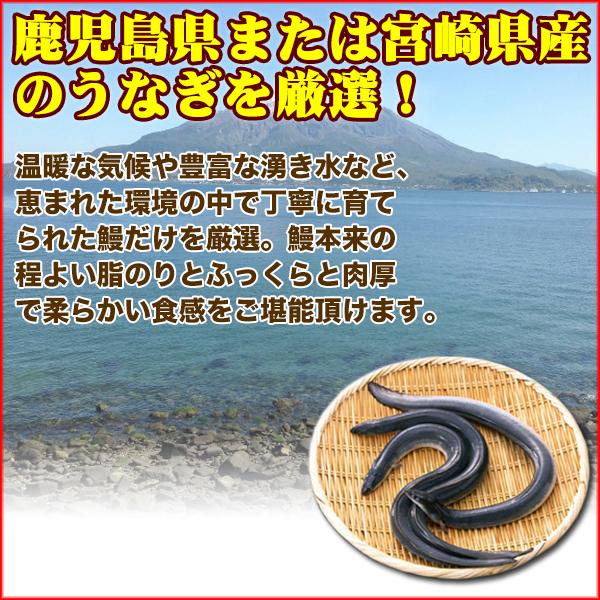 うなぎ 蒲焼き 特大 国産 220g 1尾 送料無料 有頭 真空包装 鰻 うなぎひつまぶし 土用丑 贈答 ギフト プレゼント ギフト 土用丑 土用の丑の日 年末年始 お歳暮